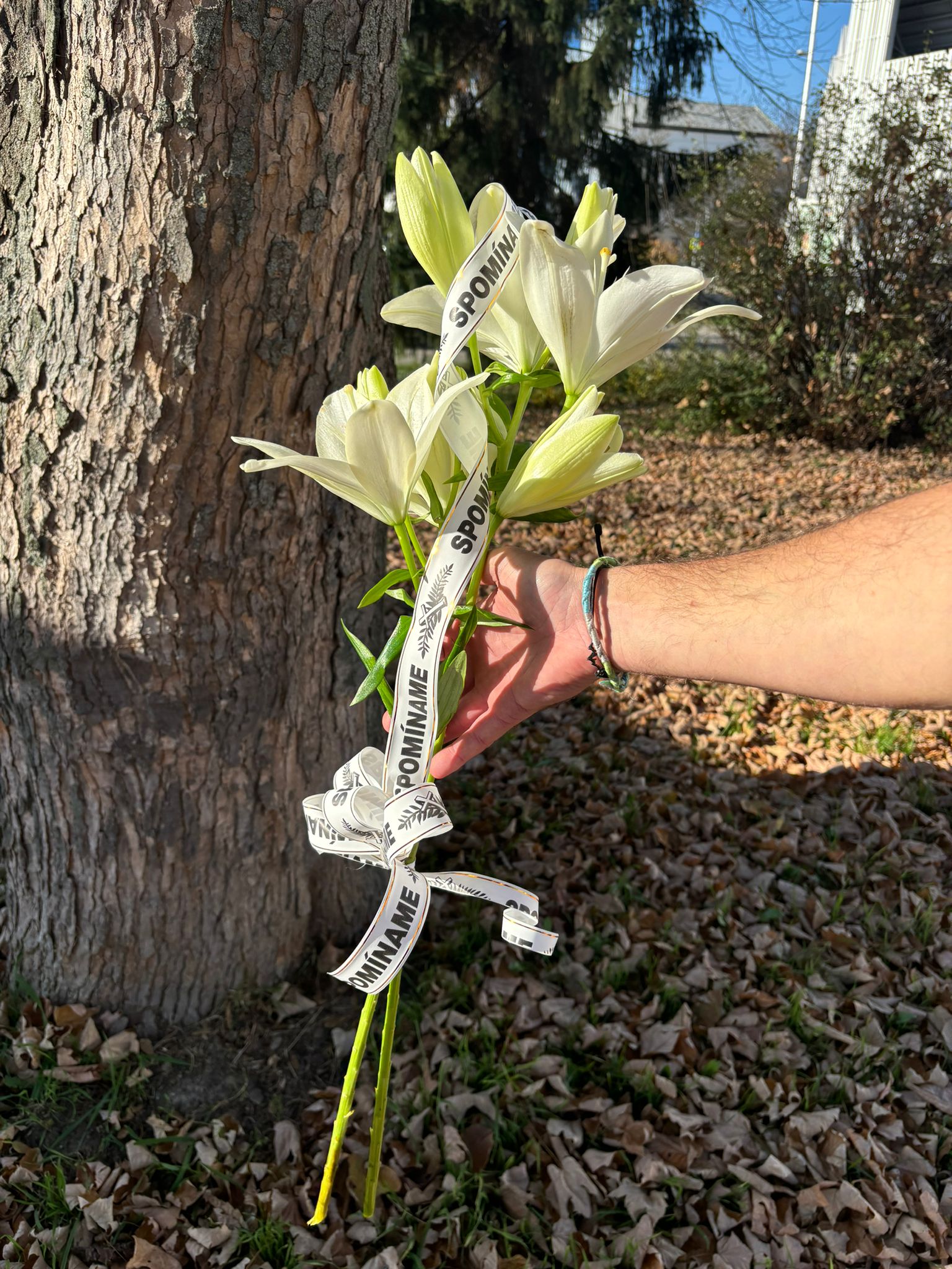 Obrázok kondolencie