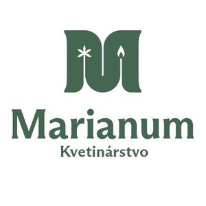 store