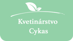 Store logo