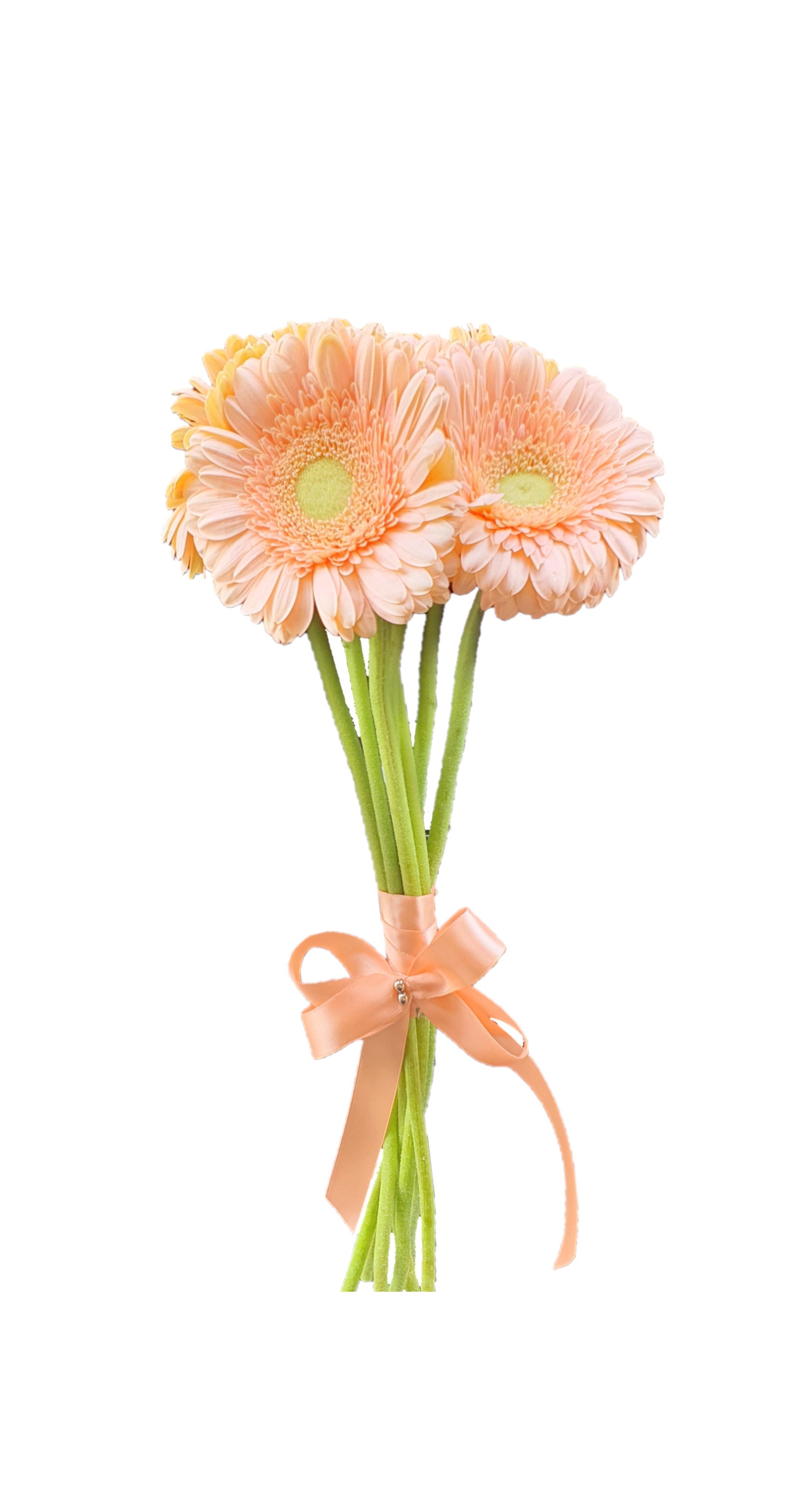 Obrázok kondolencie